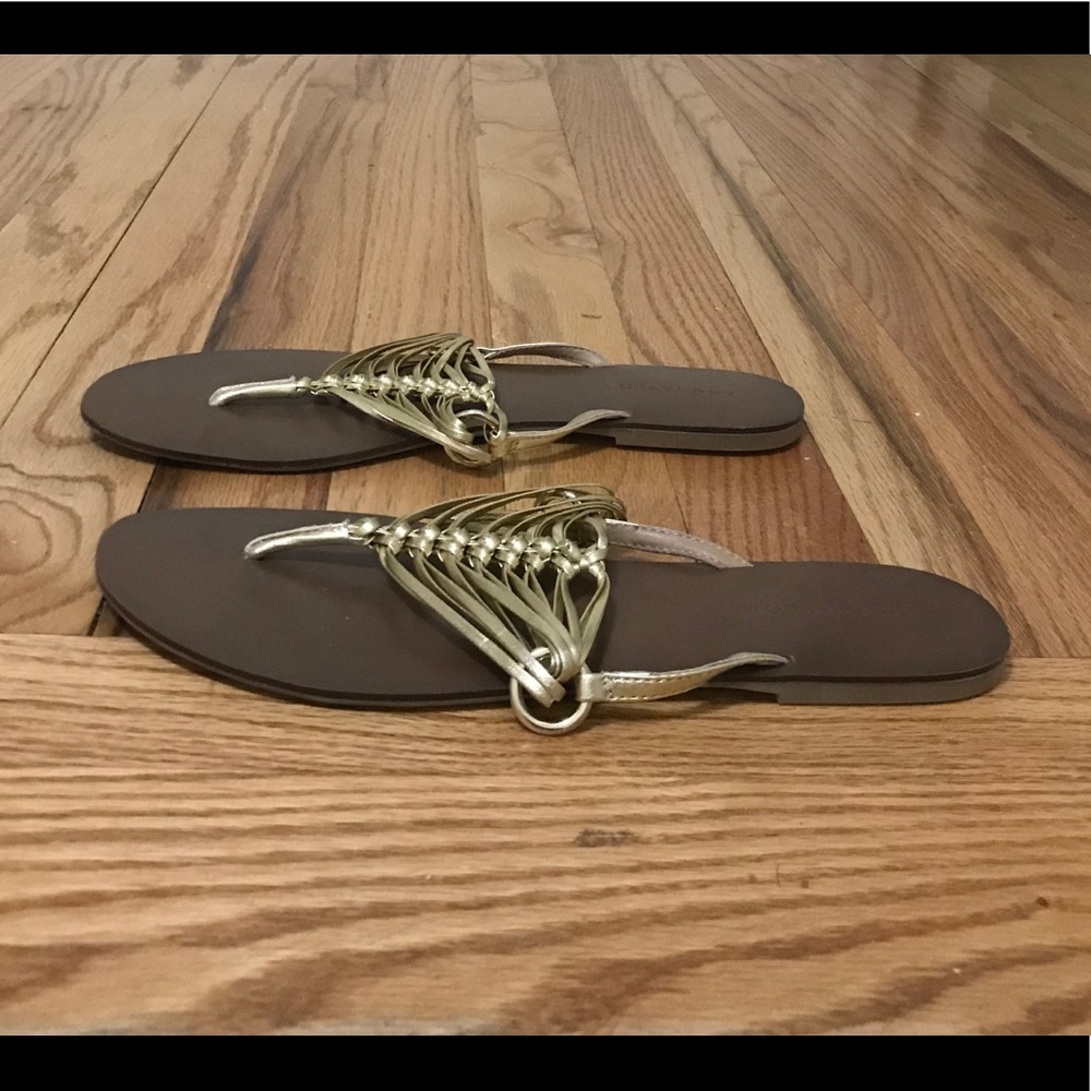 Ann Taylor Lea Bronze Flip Flop